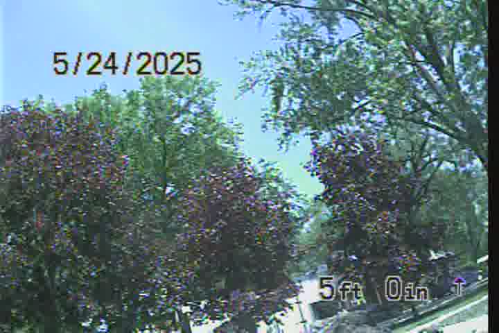 Frame